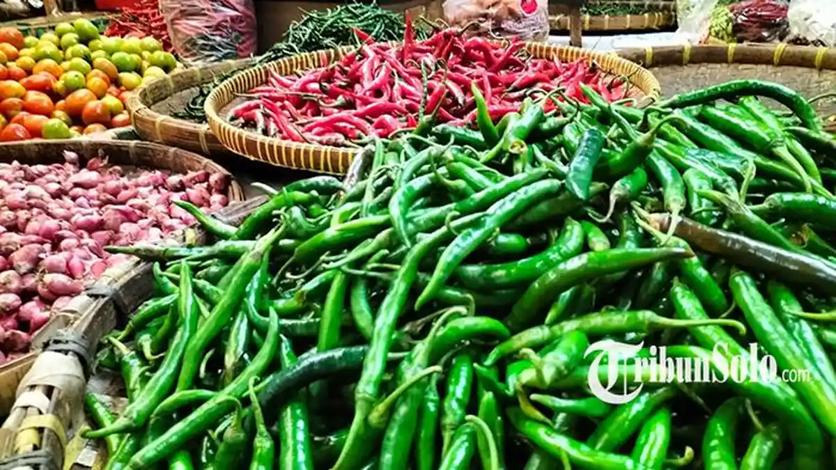 Harga Cabai Rawit Merah di Boyolali Naik, Tembus Rp 75 Ribu Per Kg