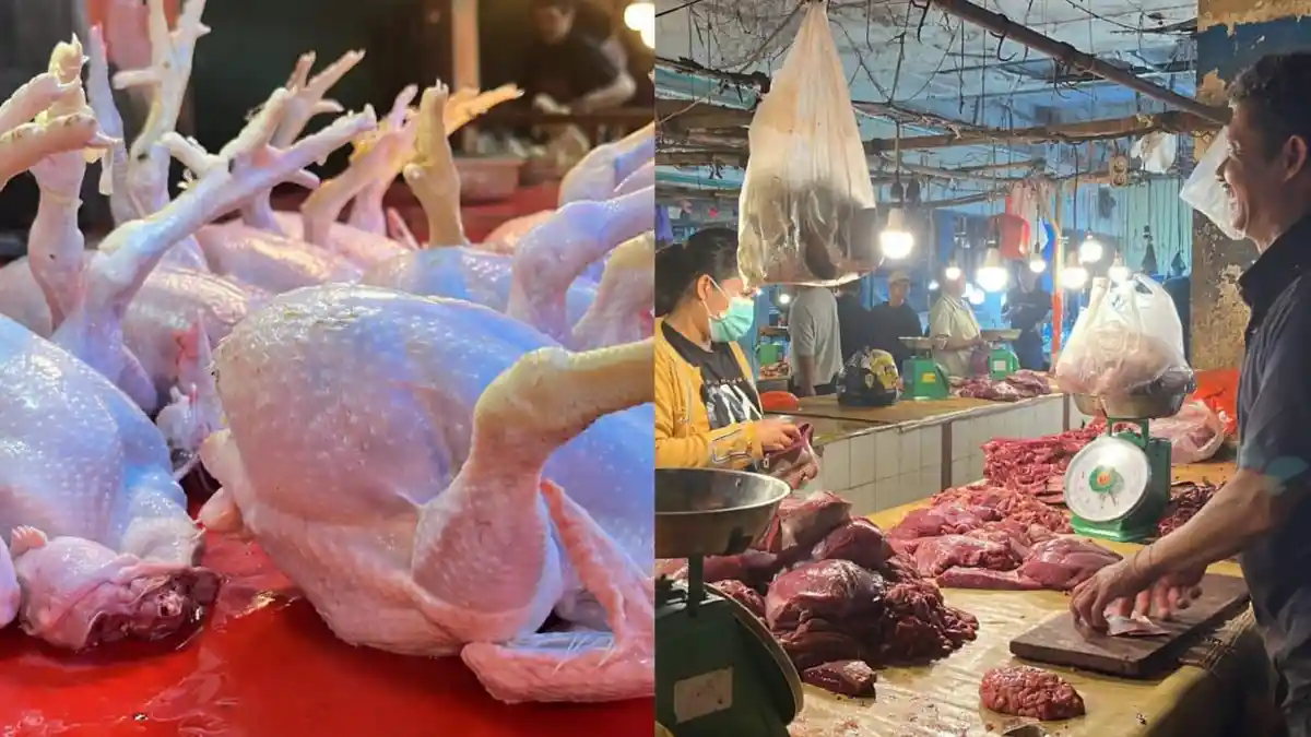 Harga Ayam Potong Naik di Kendari Jadi Rp75 Ribu-Rp90 Ribu Jelang Natal 2024, Daging Sapi Normal