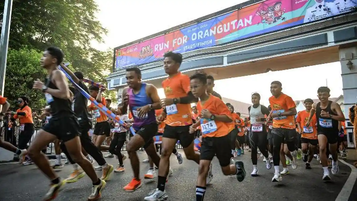 Charity Run Berau Gaungkan Save Orangutan, 526 Peserta Lari untuk Satwa Terancam