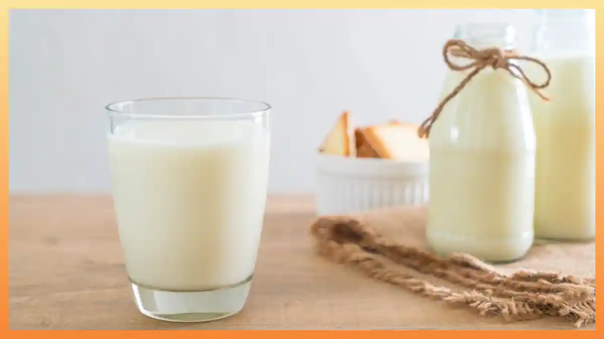 Manfaat Mengonsumsi Susu Sebelum dan Sesudah Berolahraga