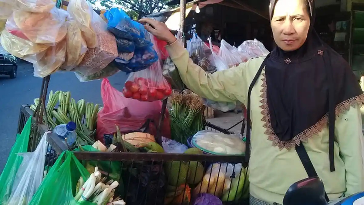 Kisah Dg Tene, Hidupi Suami, Anak Kuliah dari Jualan Sayur di Pangkep