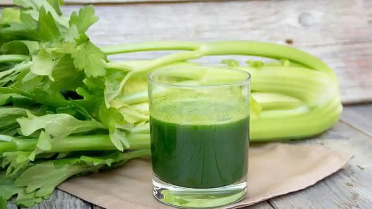 Cobalah Rutin Minum Jus Seledri Tiap Pagi Saat Perut Kosong, Dapatkan Manfaat Kesehatan Ini