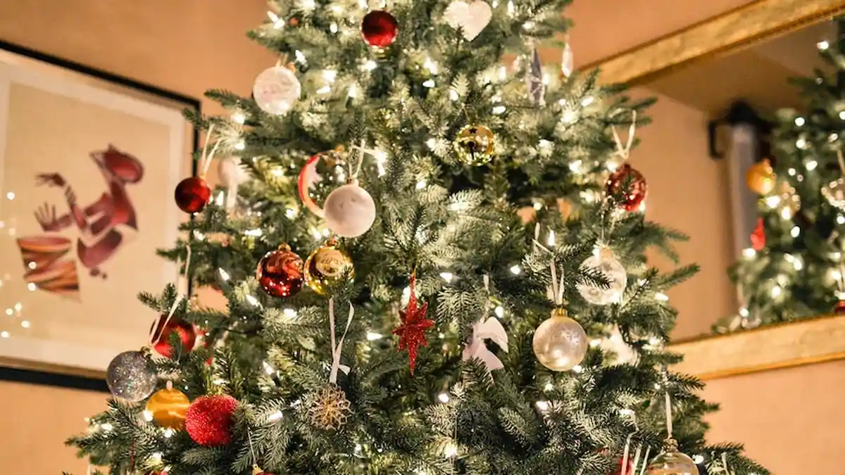 Dari Mana Asalnya Tradisi Menghias Pohon Natal? Berikut Sejarahnya