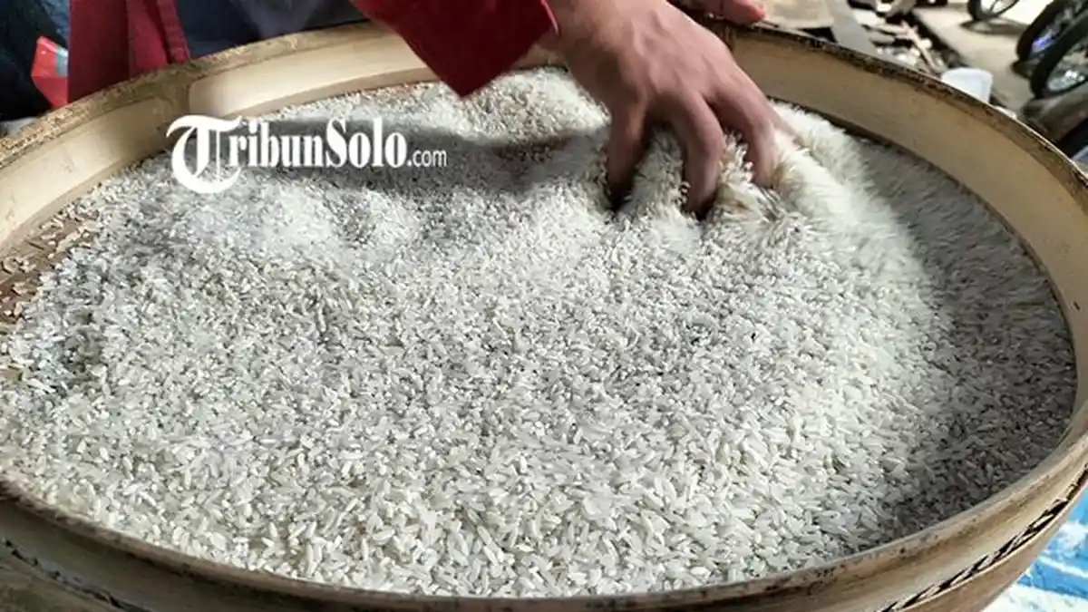 Waspada Peredaran Beras Oplosan! Beras Subsidi Dioplos, Lalu Dijual dengan Harga Premium