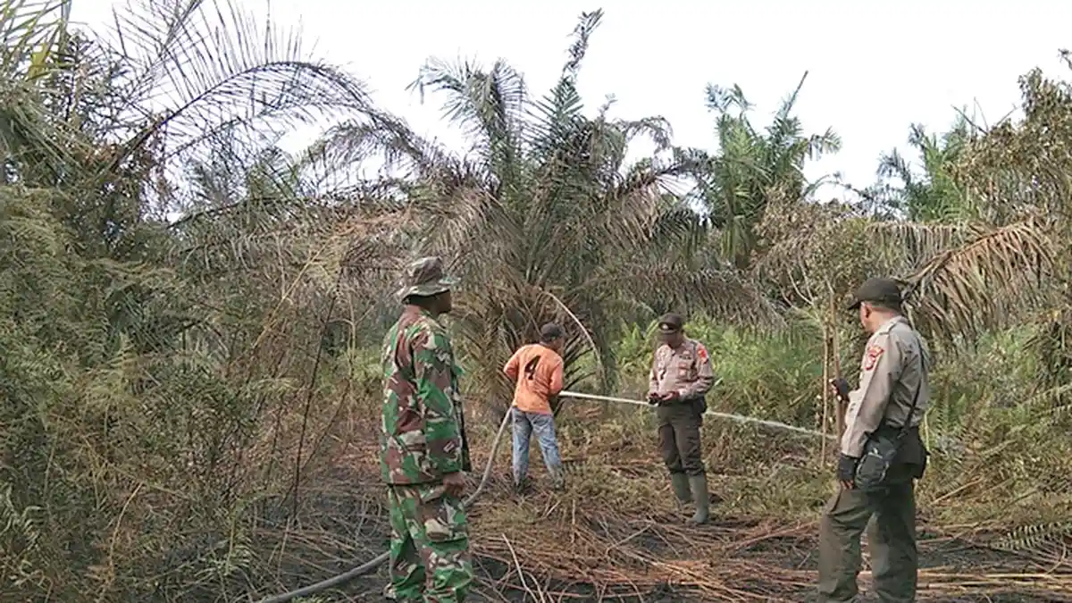 Kebakaran Lahan di Teluk Meranti Pelalawan, yang Dilalap Api Lahan PT SSS