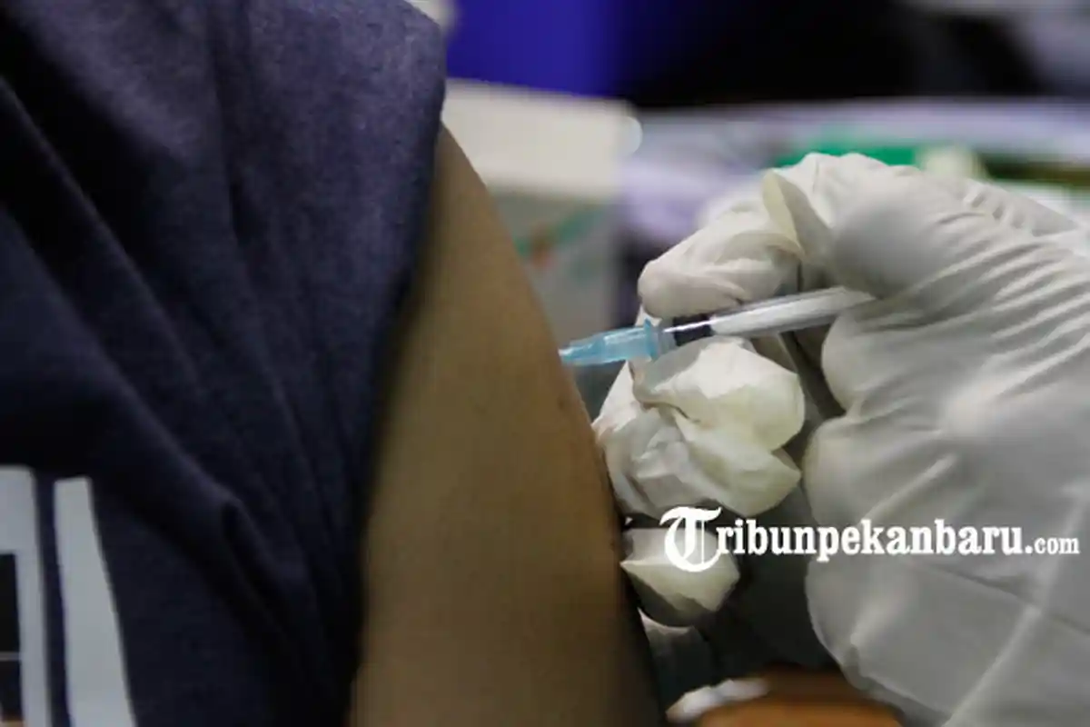 Jokowi Bakal Tinjau Langsung,10 Ribu Orang di Pekanbaru Jalani Vaksinasi Covid-19 Massal Rabu Besok