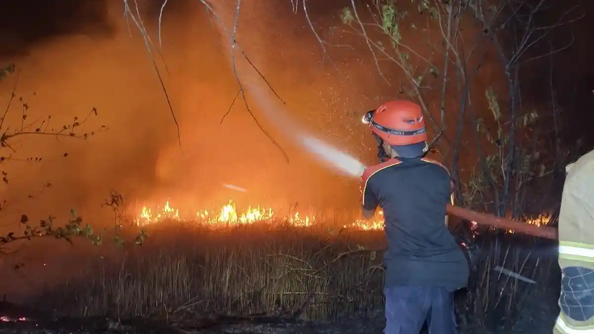 Lahan 1,5 Hektare di Pantai Takari Terbakar