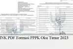 Link-PDF-Formasi-PPPK-Oku-Timur-2023-Lengkap.jpg