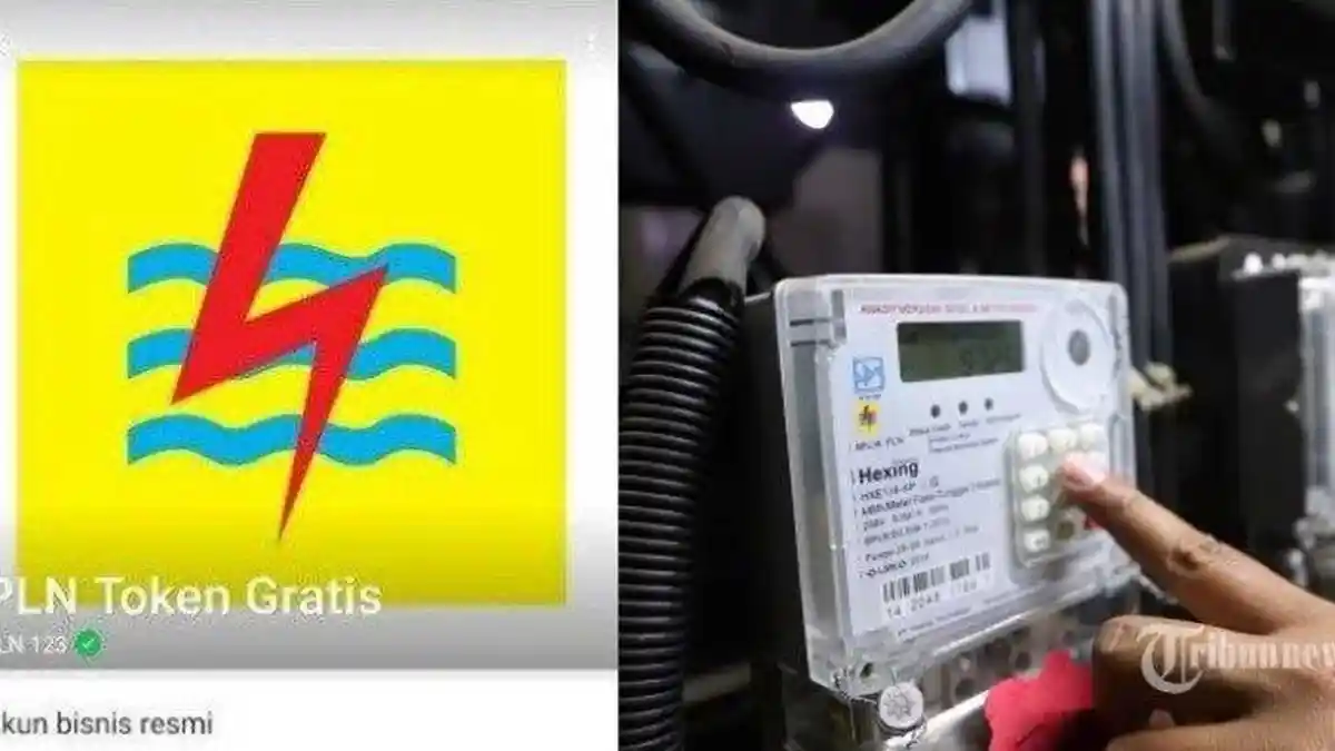Lowongan Kerja Terbaru di Anak Perusahaan PT PLN Minimal D3 dan S1, Pendaftaran Dibuka Lewat Online
