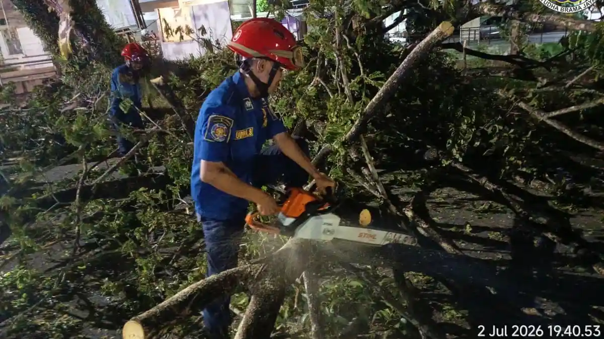 Pohon Tumbang di Jalan A Yani KM 14.700 Berhasil Diurai, DPKP Banjar Gunakan Dua Mesin Chainshaw - Banjarmasinpost.co.id
