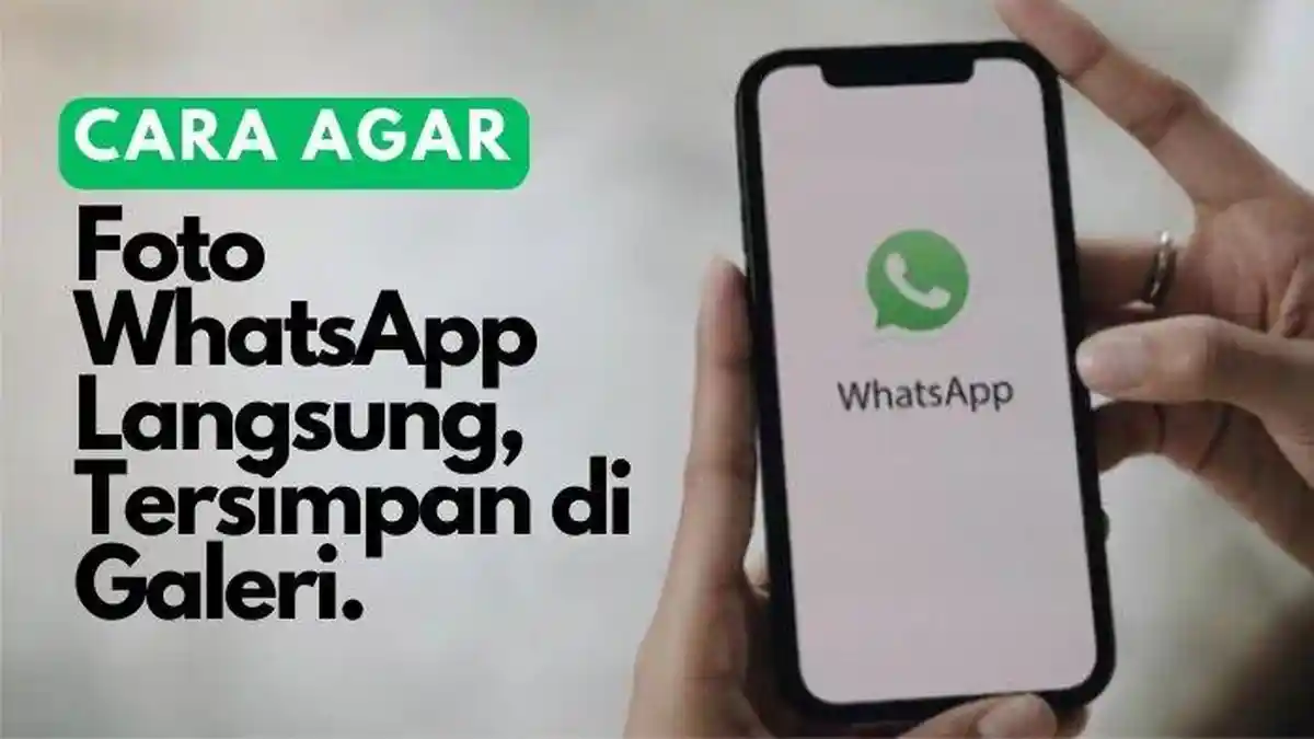 Foto WhatsApp Langsung Tersimpan di Galeri? Begini Caranya!