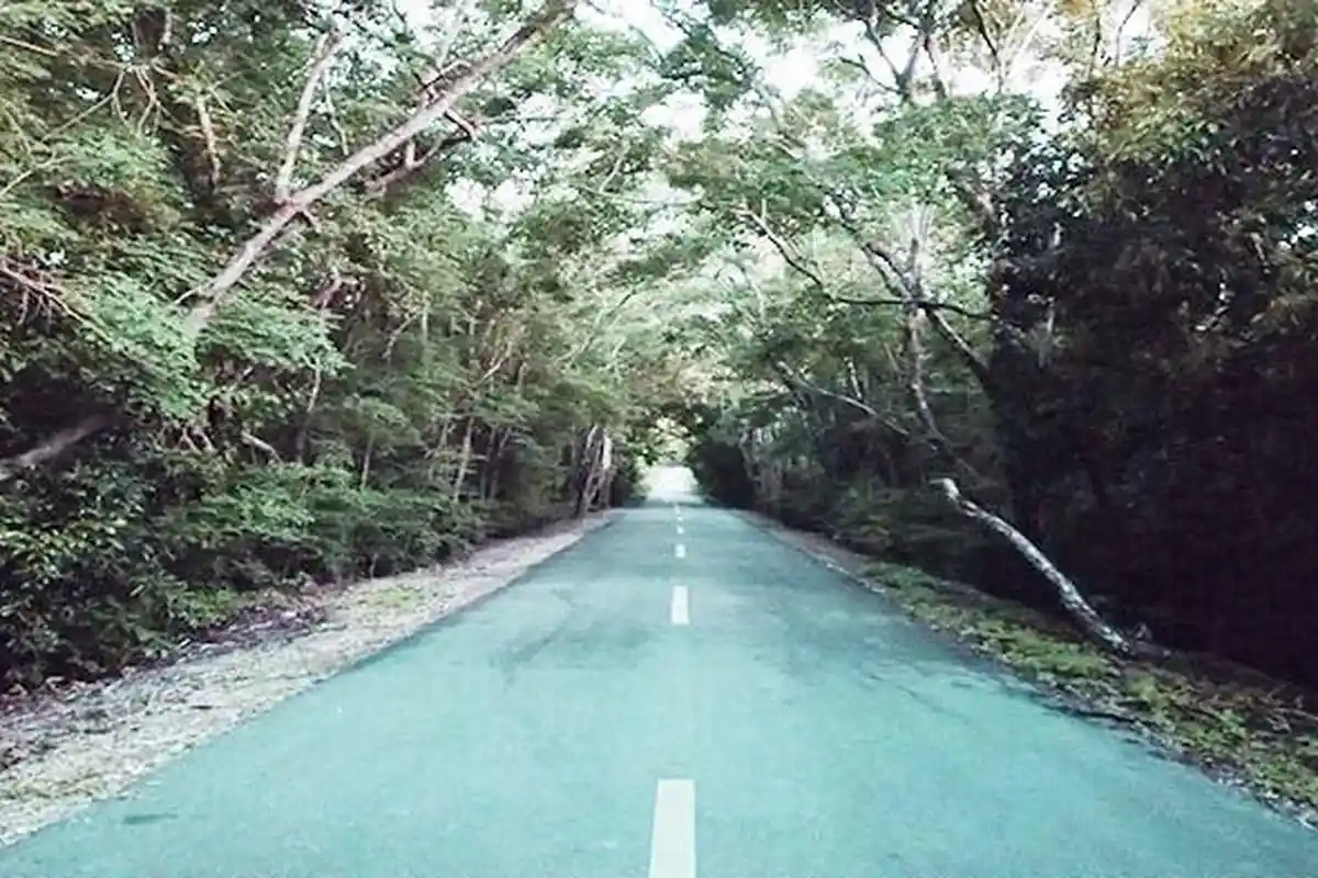Wisata NTT, Taman Hutan Raya Prof Herman Yohanes di Amarasi, Tempat Berlindung Kuskus dan Rusa Timor
