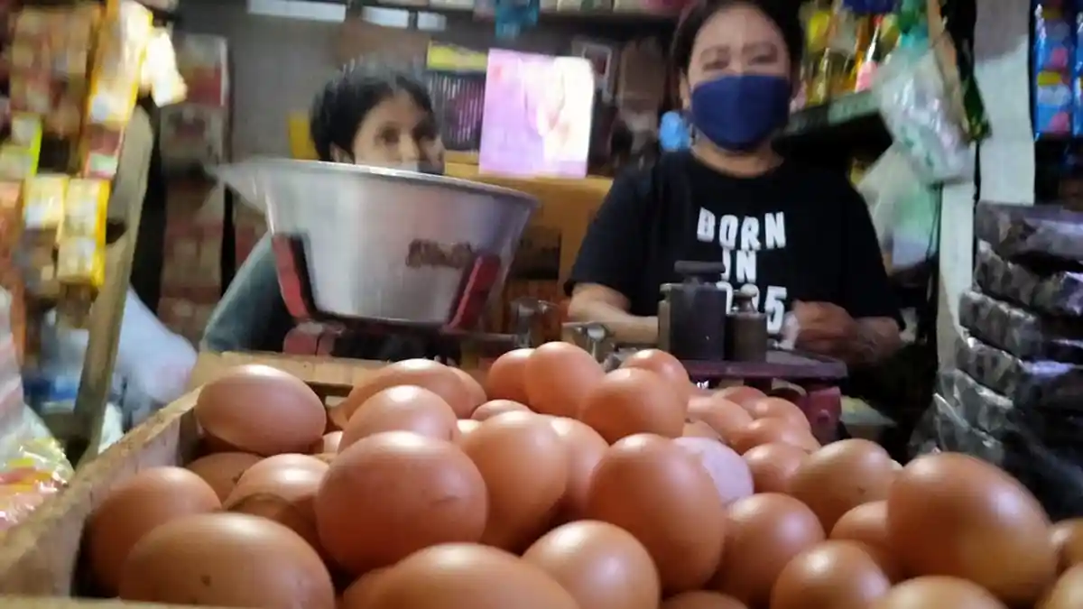 Harga Telur Ayam Mulai Meroket Jelang Ramadan di Semarang, Kini Rp 31.000 per Kilogram