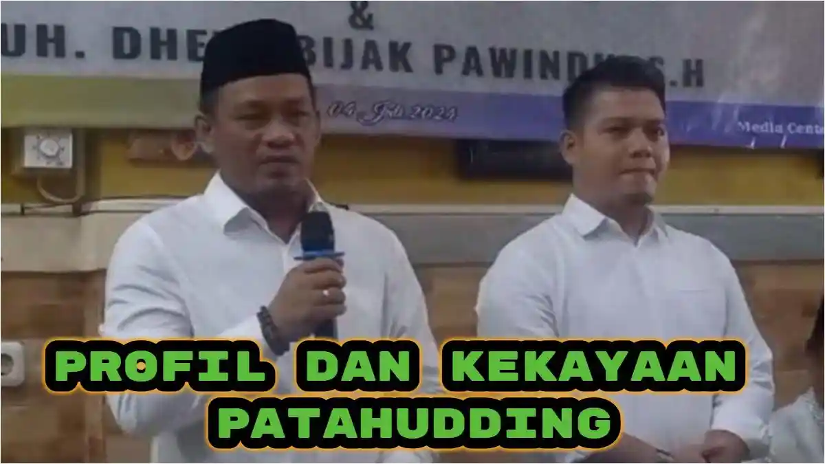 Profil dan Kekayaan Patahudding, Bupati Terpilih Luwu 2024, Duet Dhevy Bijak, Dikenal Kader Golkar