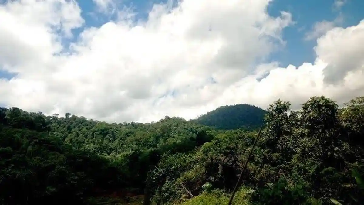 Bupati Malinau Terus Perjuangkan Usulan Warga Kawasan Hutan Jadi APL