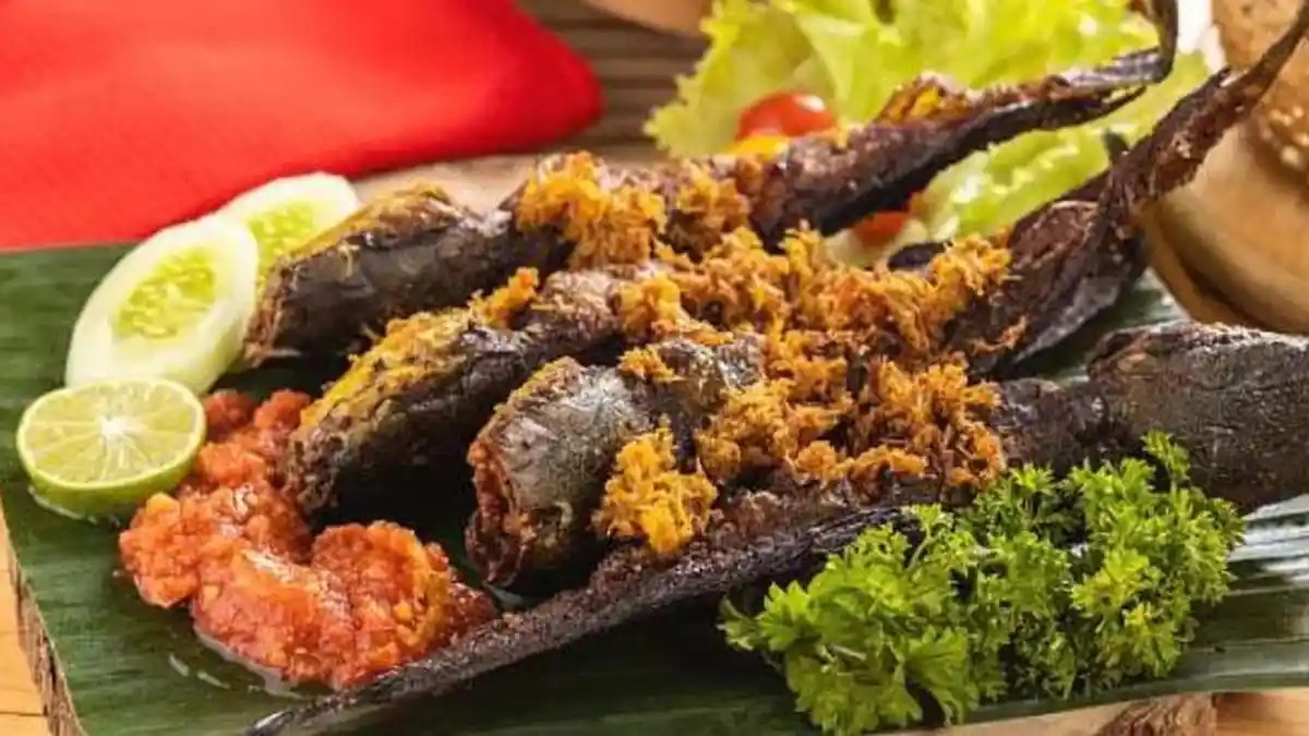 Tiga Manfaat Ikan Lele untuk Kesehatan, Ada vitamin B12, protein, dan omega 3