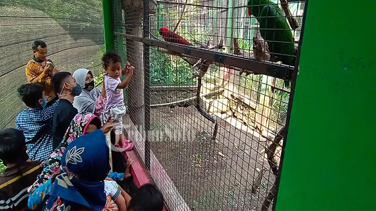 Hanya Bonbin Jurug dan Taman Balekambang yang Dibuka Selama PPKM Level 3 di Solo, Mengapa?
