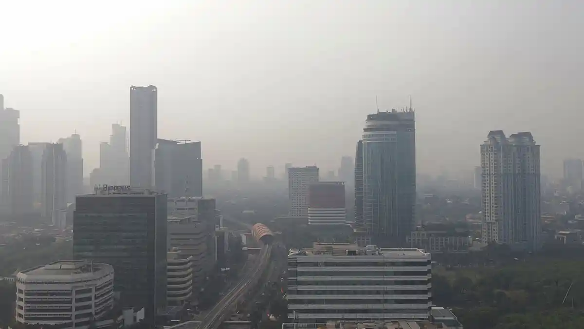 Polusi Udara Bisa Berasal dari Dalam Ruangan, Ketahui Apa Saja Sumbernya