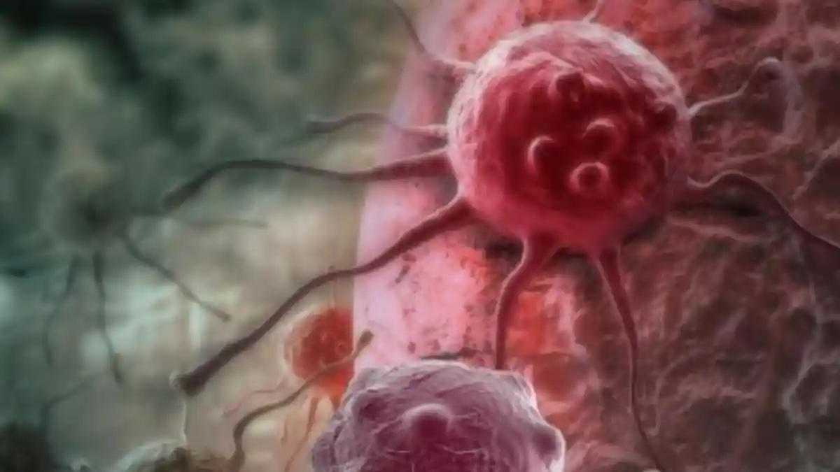 Benarkah Virus Zika Bisa untuk Pengobatan Kanker Otak? Ini Temuan Baru Ilmuwan