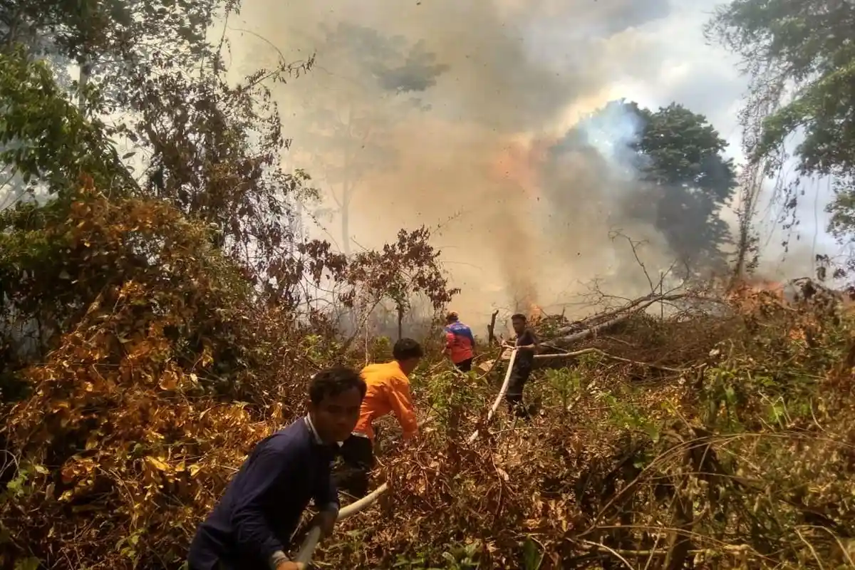 Kebakaran Lahan di Empat Lawang Kian Meluas, Ada yang Nyaris Hanguskan Pemakaman Umum