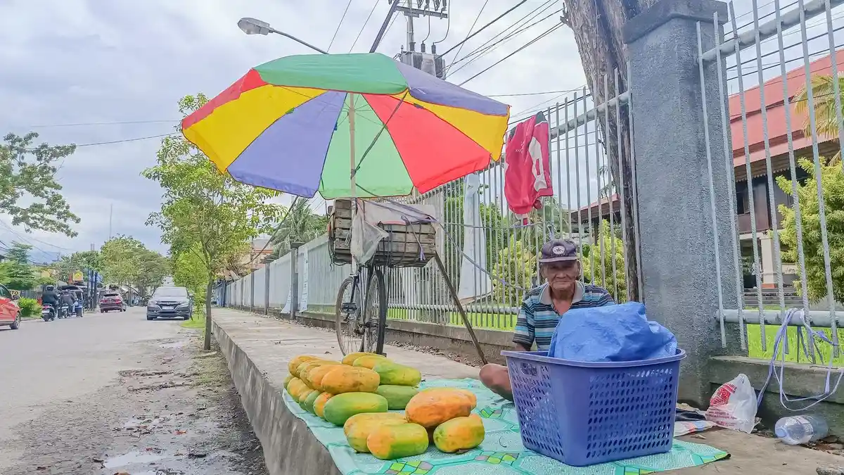 Sosok Opa Asi, Penjual Pepaya di Rumah Adat Dulohupa Gorontalo