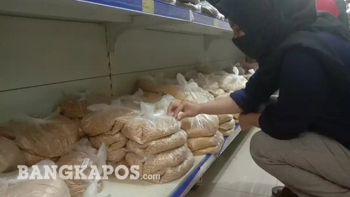 Toko Acun Aquarium Menyediakan Berbagai Pakan Ternak, Begini Harganya 