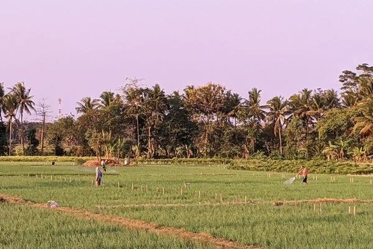ASN Dihukum Bersih-bersih karena Jadikan Ladang Jati Tempat Zina dengan Istri Orang, Lurah Malu