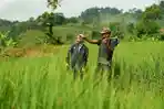 BRI Salurkan KUR Rp27,72 Triliun dalam 2 Bulan, Sebanyak 649,6 Ribu Pengusaha UMKM Terima Manfaat