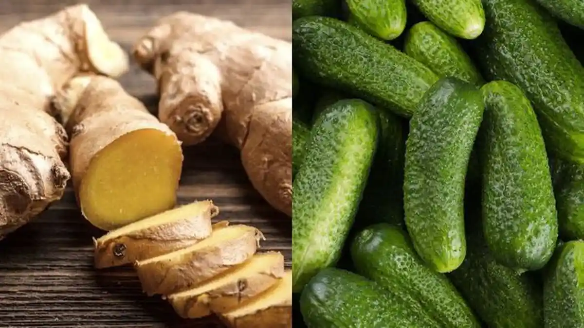 Manfaat Minum Campuran Jahe dan Timun untuk Sembuhkan Asam Urat, Simak Resepnya