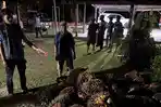 Curi Buah Sawit di Renah Mendaluh, Tiga Pelaku Diamankan Polsek Merlung