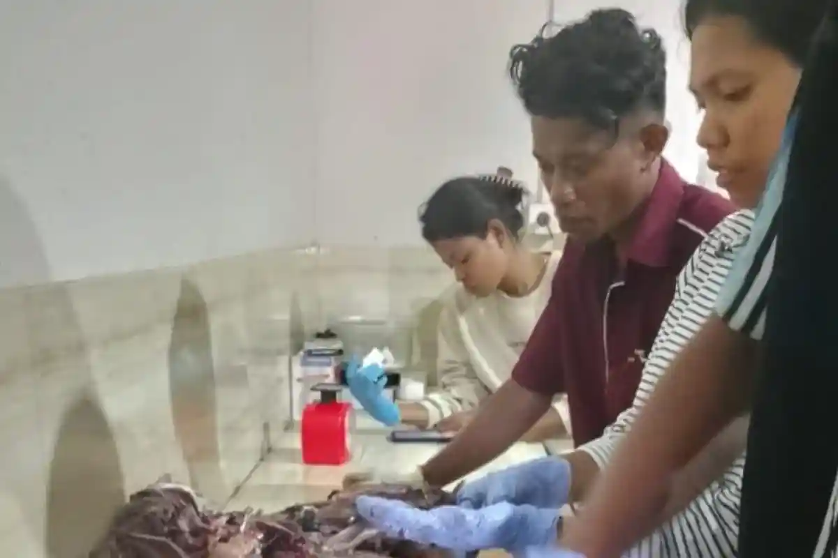 Mahasiswa IKTL Flores Timur Olah Limbah Ikan Jadi Pakan Ternak