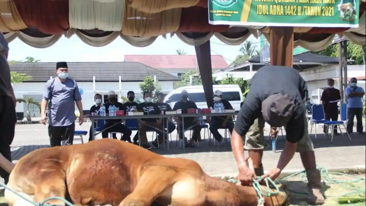 Bacaan Doa Nabi Muhammad saat Menyembelih Hewan Kurban, Lengkap dengan Adab-adab Rasulullah