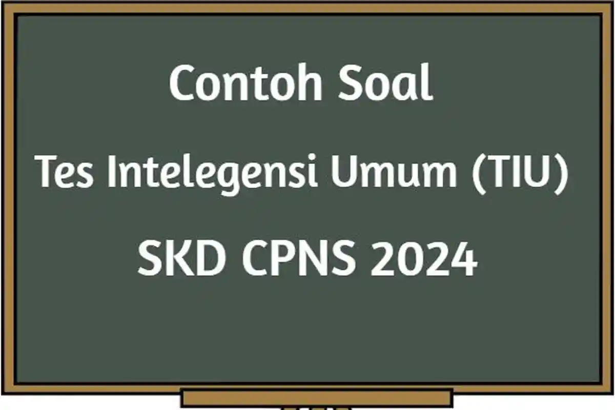 Contoh Soal TIU Deret Angka dan Verbal Analogi Ujian SKD CPNS 2024, Ada Pembahasannya dan Kisi-kisi
