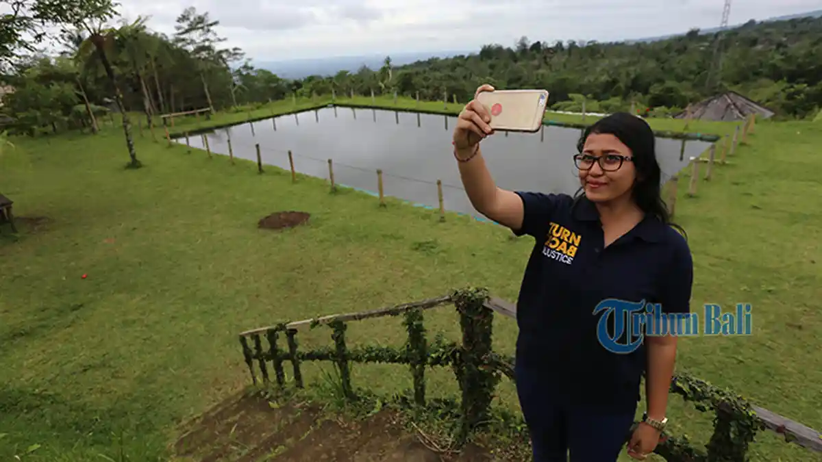 Liburan Seru di Bali Outbond and Farmstay, Flying Fox Hingga Camping di Bukit Melingkuh Baturiti