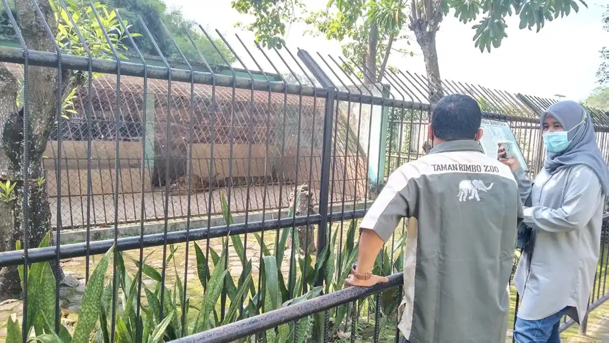 Mengenal Lebih Dekat dengan Uni dan Cinta yang Tinggal di Taman Rimba Jambi
