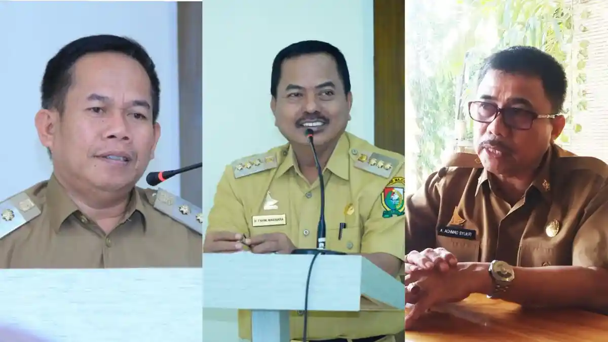 Tidak Ada yang Berani Lawan Bupati Majene di Pilkada 2020, Ini Buktinya