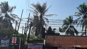 kabel-jaringan-internet-di-kota-jambi.jpg