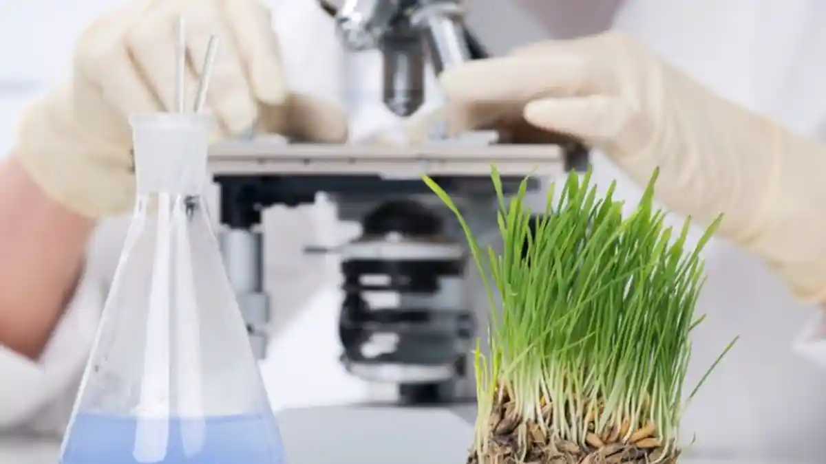 13 Profesi Jurusan Bioteknologi yang Dibutuhkan di Masa Depan