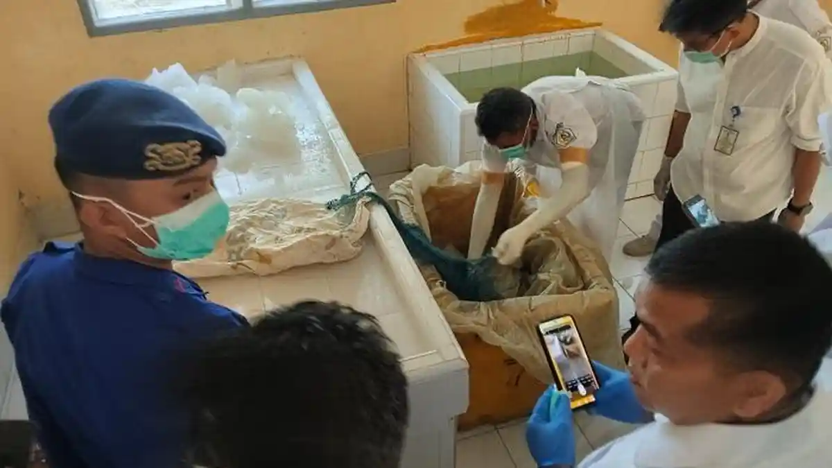 Nelayan Lhokseumawe Temukan Mayat tanpa Kepala dan Organ Dalam di Laut