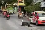 Jalan Pemuda Demak yang Berlubang Sudah Diperbaiki, Kendaraan Melaju Kencang