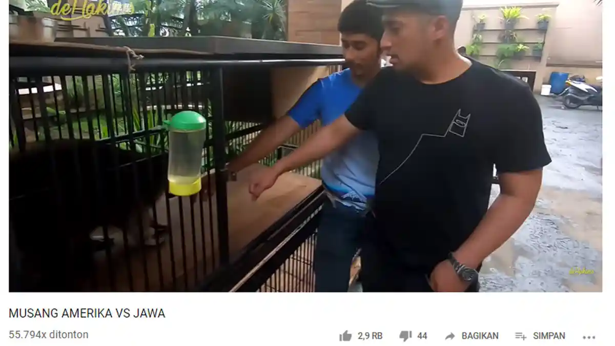 Pertama Kali Pegang Hewan Rakun, Irfan Hakim: Enggak Mau Takut!