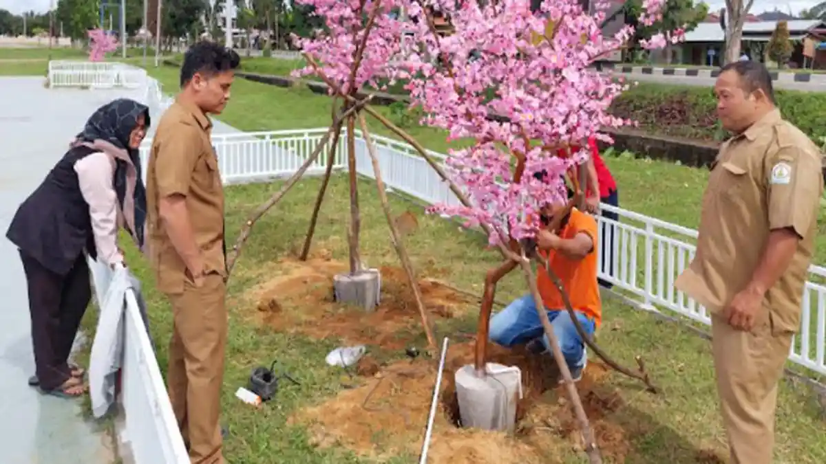 Disparpora Sulap RTH Aceh Tamiang Sport Center Jadi Taman, Pasang Kursi dan Pohon Sakura Sintetis