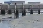 Segdimentasi Tinggi  
