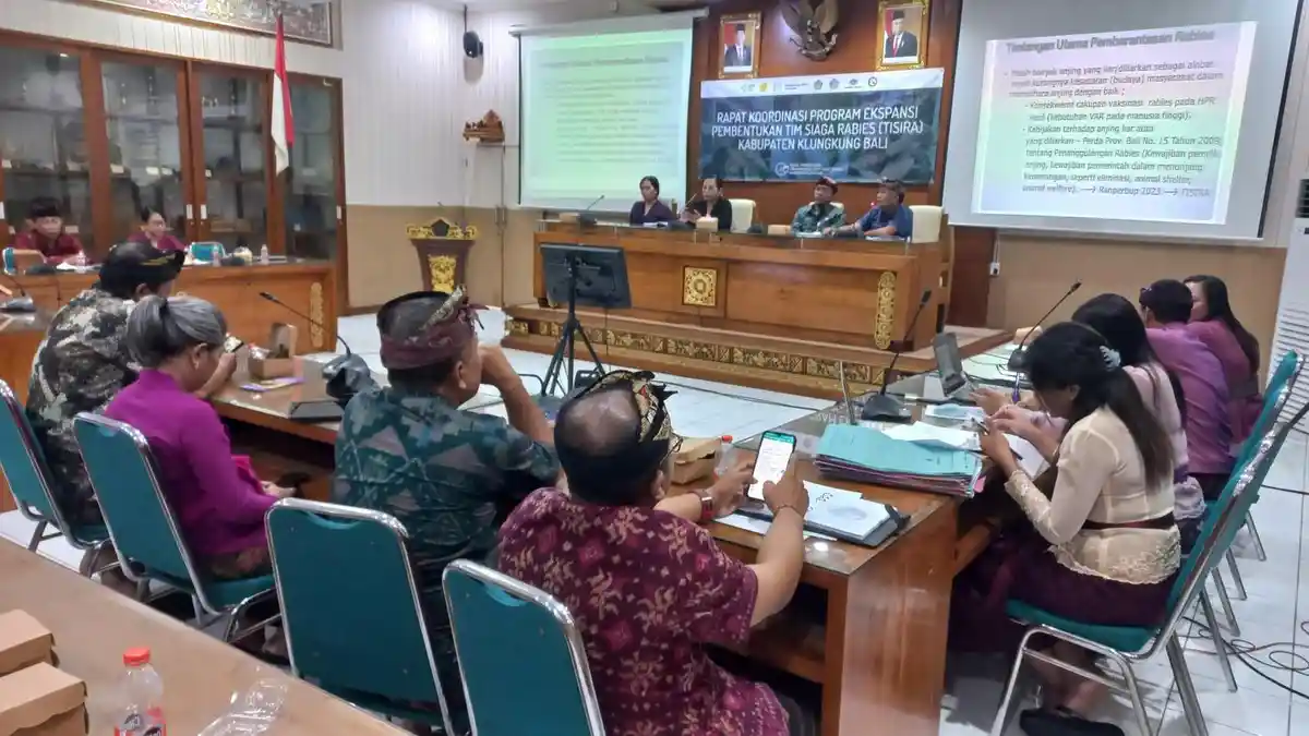 Tahun 2023, Gigitan Anjing Positif Rabies Mencapai 40 Persen