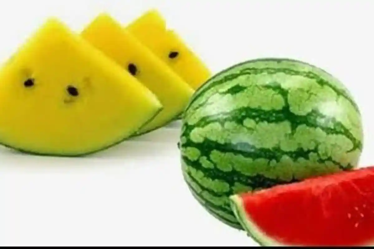 Buah Semangka Jadi Primadona di Bulan Ramadan, Sehari Pedagang di Banyuasin Jual 300 Kilo Semangka