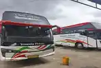 Sejumlah PO Bus di Palembang Belum Tetapkan Tarif Mudik Lebaran 2026, Saat Ramadhan Baru Diumumkan