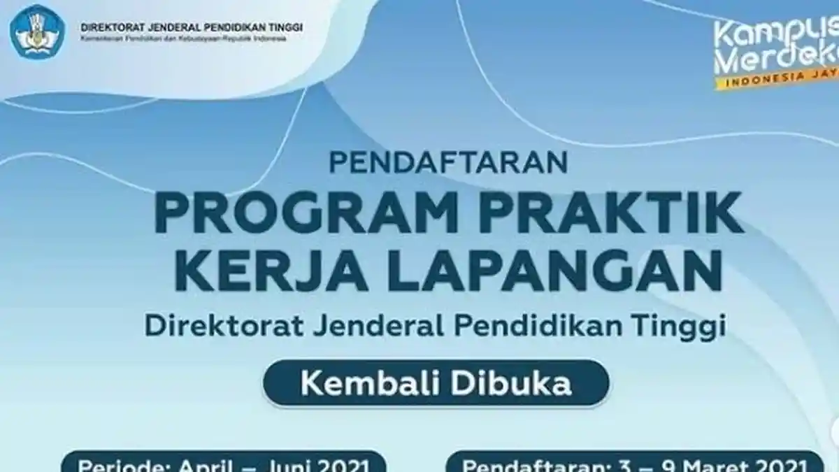 Lowongan Magang Mahasiswa dari Kemendikbud, Catat Ini Posisi dan Syarat yang Dicari