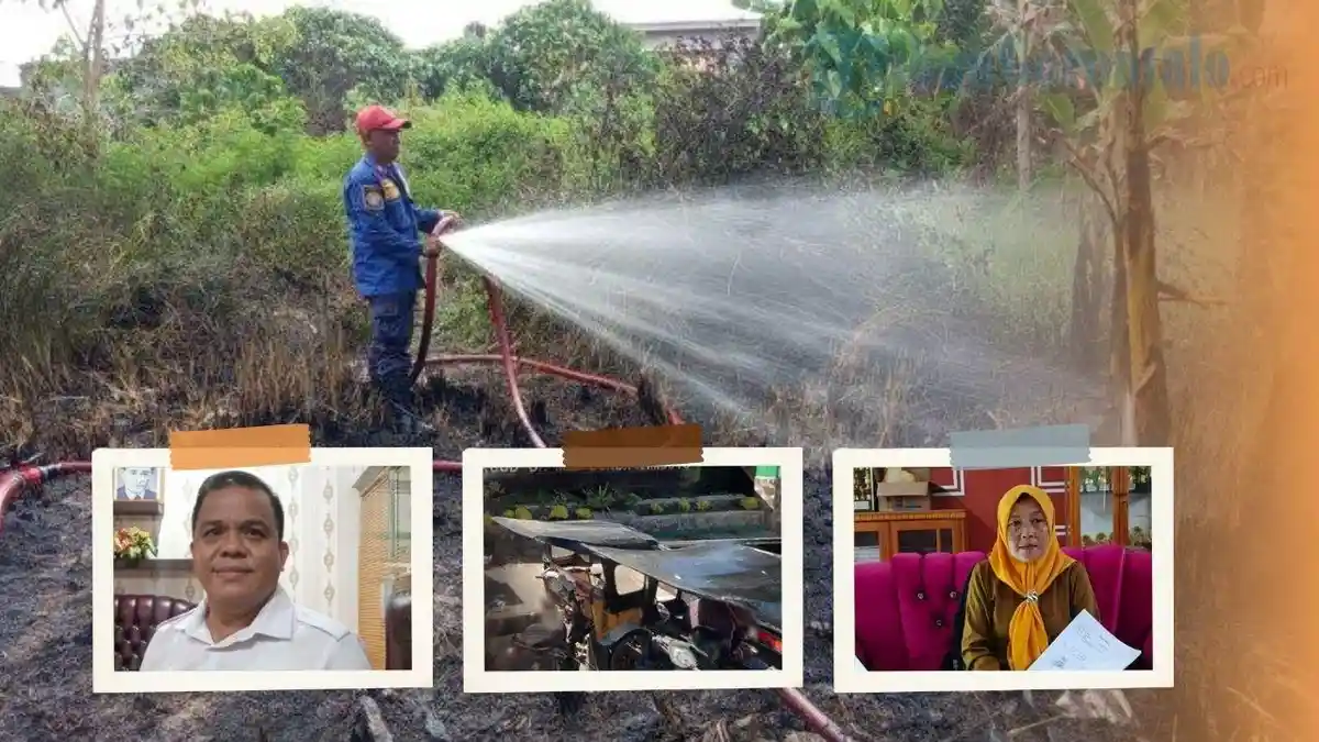 GORONTALO TERPOPULER: Pejabat Direktur RSUD MM Dunda Berganti - Kebakaran Lahan di Kota Gorontalo