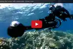 google-underwater-street-view_20150606_203420.jpg