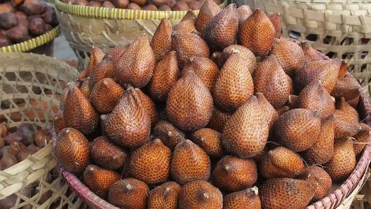 5 Buah Kaya Manfaat untuk Kesehatan, Ada Buah Kesukaan Kalian?